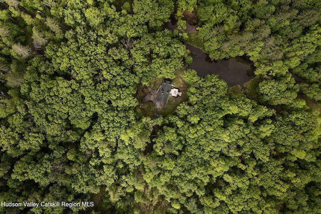 55 Ginger Rd, High Falls, NY 12440 - aerial view of property and surrounding area