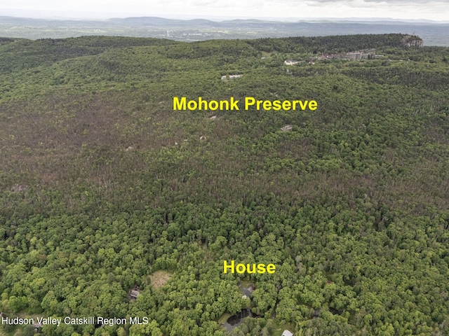 55 Ginger Rd, High Falls, NY 12440 - drone / aerial view of a heavily wooded area