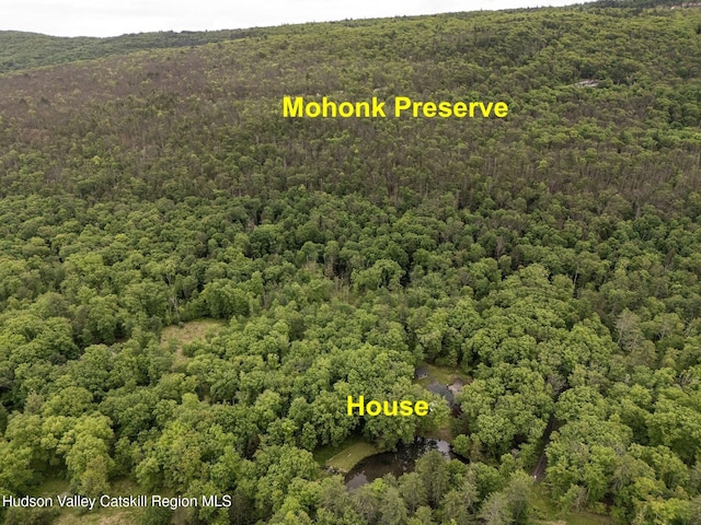 55 Ginger Rd, High Falls, NY 12440 - bird's eye view of a forest