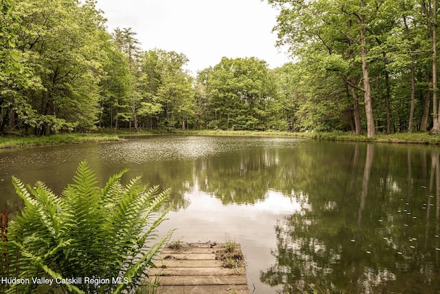 55 Ginger Rd, High Falls, NY 12440 - water view with a heavily wooded area