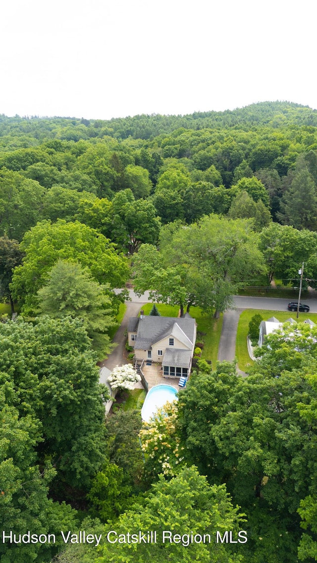 50 Payn Ave, Chatham, NY 12037 - aerial view of property and surrounding area with a heavily wooded area