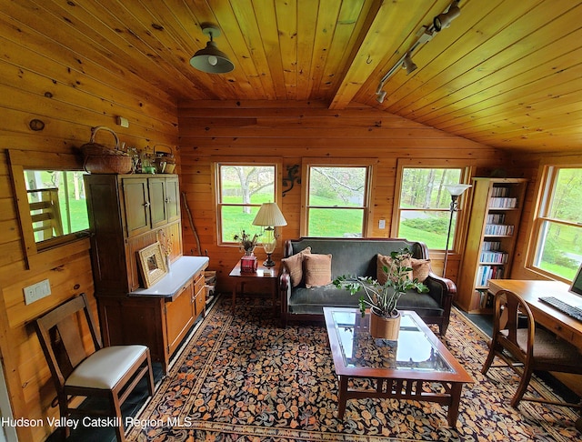 223 Church Rd, Livingston Manor, NY 12758 - living area featuring rail lighting, lofted ceiling, wood walls, and wood ceiling