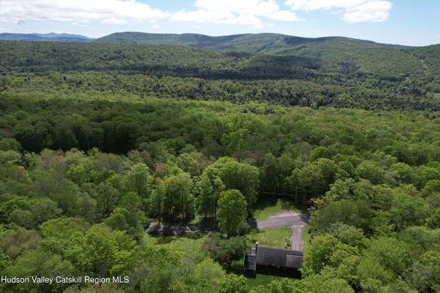 223 Church Rd, Livingston Manor, NY 12758 - view of mountain background with a forest
