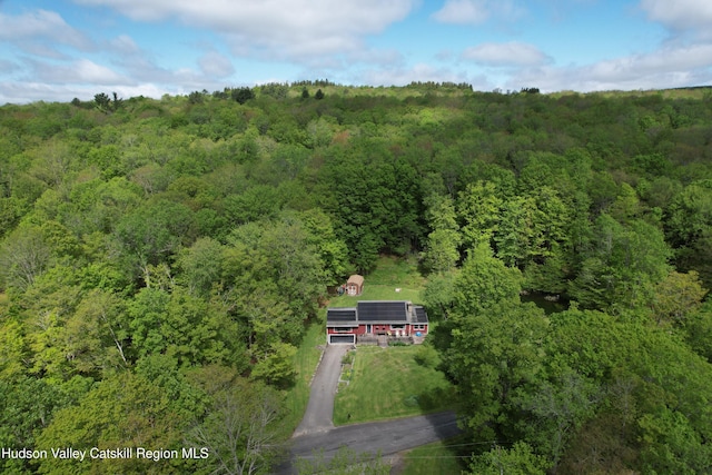 223 Church Rd, Livingston Manor, NY 12758 - aerial view of property and surrounding area featuring a forest
