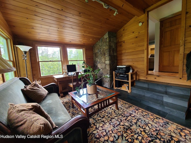223 Church Rd, Livingston Manor, NY 12758 - living room featuring vaulted ceiling, wood ceiling, plenty of natural light, wood walls, and rail lighting