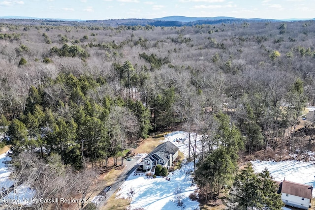 birds eye view of property featuring a forest view