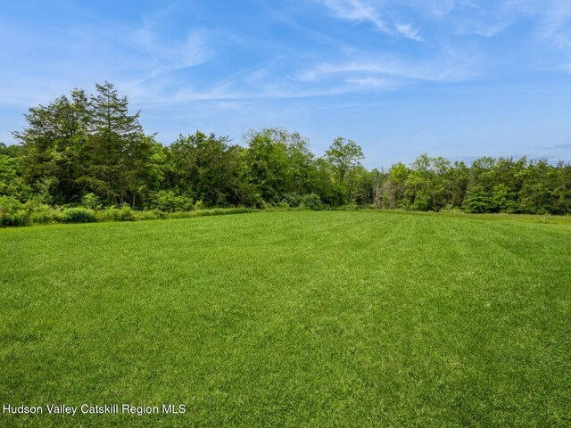 40 Bridle Path Ln, High Falls, NY 12440 - view of grassy yard featuring a view of trees