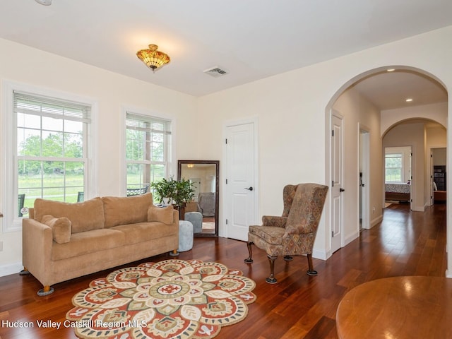 40 Bridle Path Ln, High Falls, NY 12440 - living room featuring hardwood / wood-style floors, arched walkways, and healthy amount of natural light