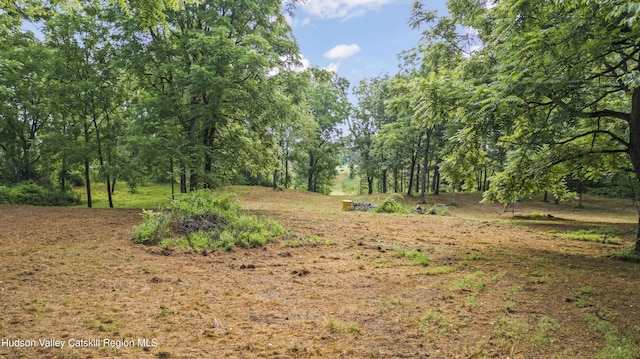 462 S Rd, Germantown, NY 12526
