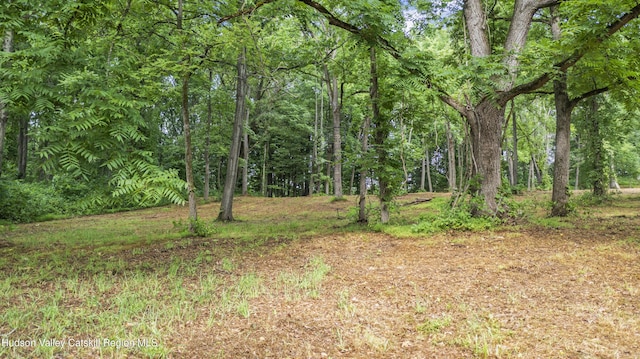 462 S Rd, Germantown, NY 12526