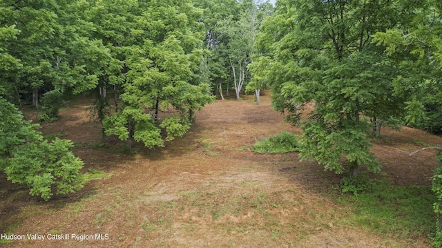 462 S Rd, Germantown, NY 12526