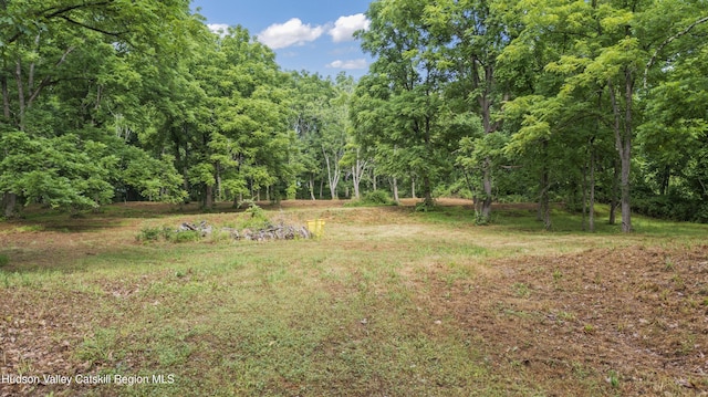 462 S Rd, Germantown, NY 12526