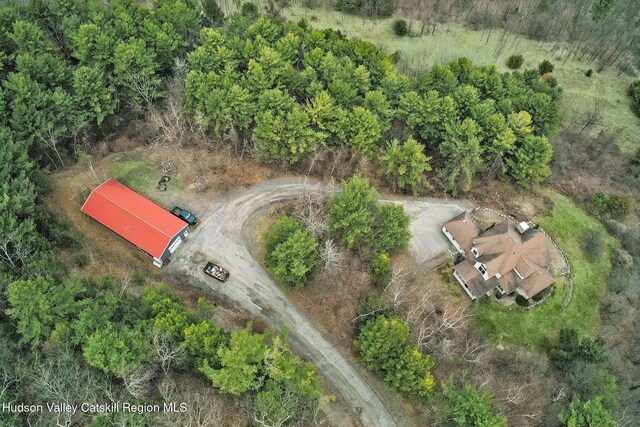921 Ecker Hollow Rd, Schoharie, NY 12157 - photo 29