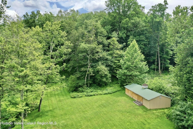483 Mountain Rd, High Falls, NY 12440 - photo 48