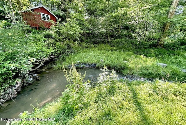 483 Mountain Rd, High Falls, NY 12440 - photo 52