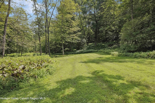 483 Mountain Rd, High Falls, NY 12440 - photo 41