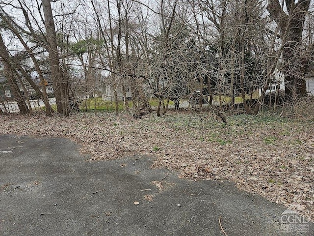 25 Chatham St, Kinderhook, NY 12106 - photo 7