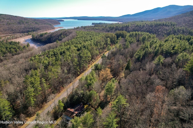 aerial view featuring a water and mountain view