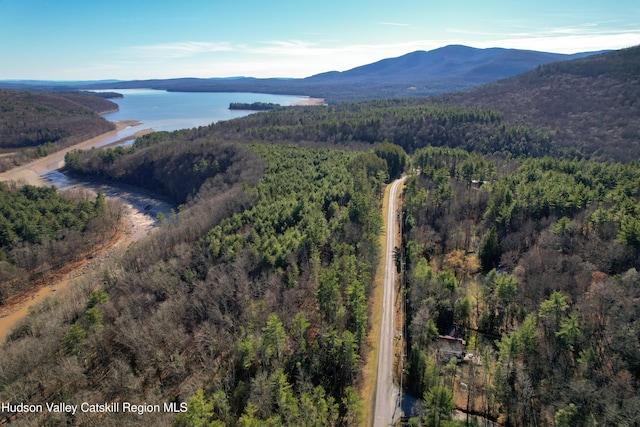 drone / aerial view with a water and mountain view