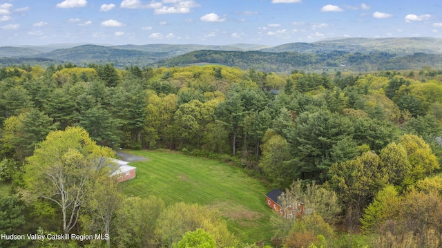 27 Upper Cady Rd, Old Chatham, NY 12136 - drone / aerial view of a forest and mountains