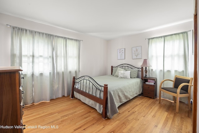 27 Upper Cady Rd, Old Chatham, NY 12136 - bedroom featuring multiple windows and light wood-style flooring