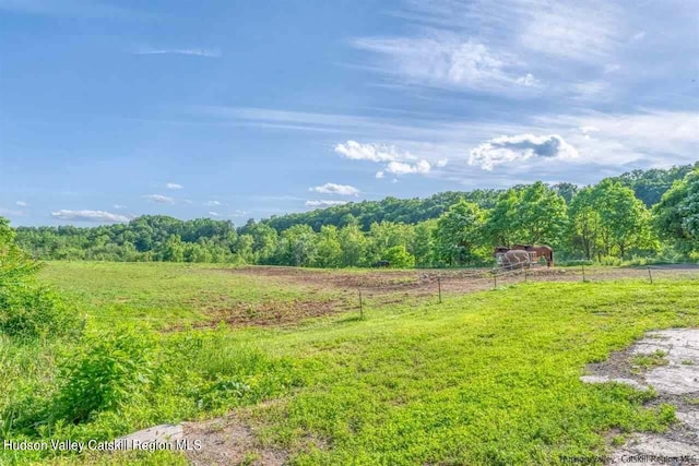 view of yard with a rural view