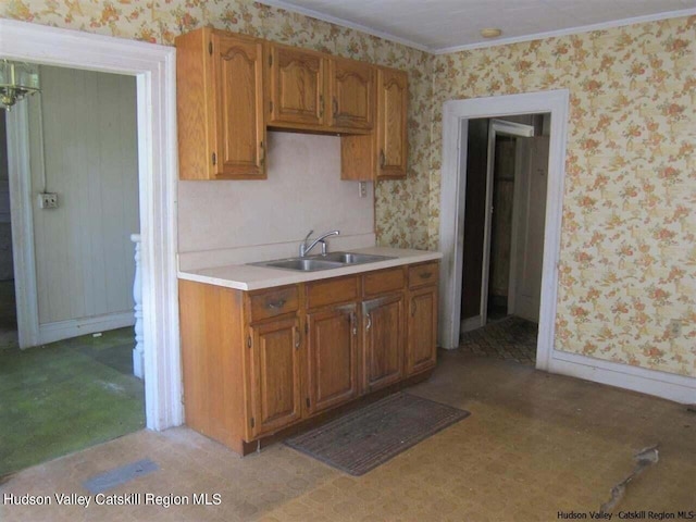 kitchen featuring crown molding and sink