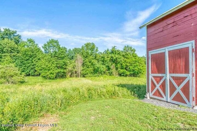 view of yard with a storage shed