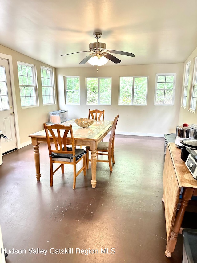 14 Farrelly St, Kingston, NY 12401 - photo 7