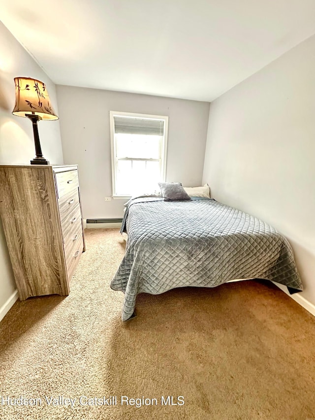 14 Farrelly St, Kingston, NY 12401 - photo 10