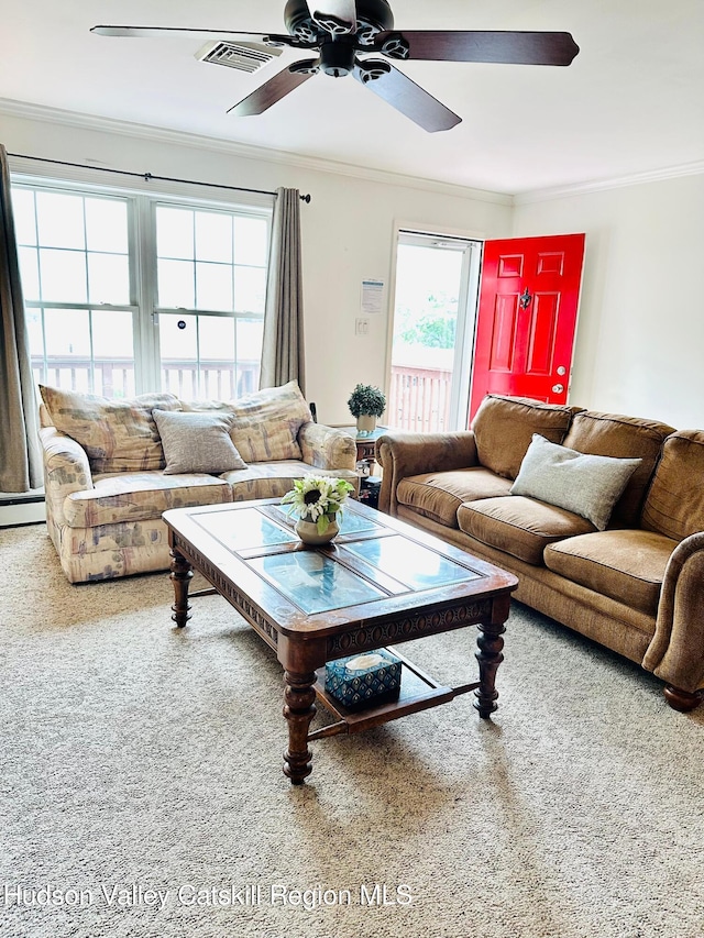 14 Farrelly St, Kingston, NY 12401 - photo 3