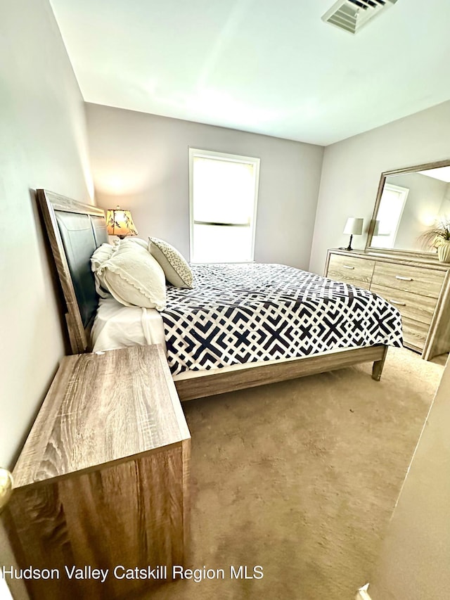 14 Farrelly St, Kingston, NY 12401 - photo 8