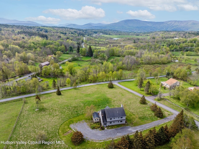 2 Biff Andrus Rd, Windham, NY 12496 - photo 35