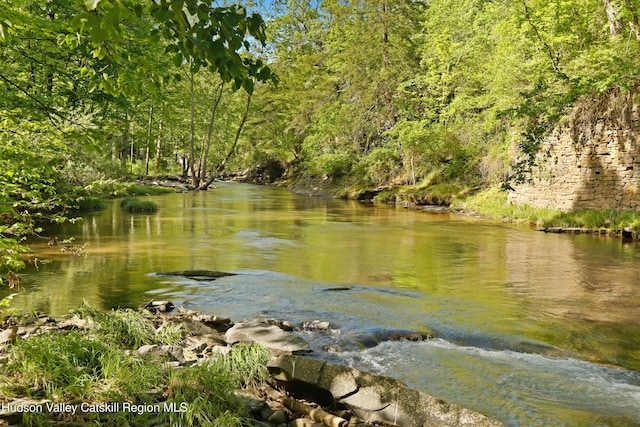 1130 Sawkill Rd, Kingston, NY 12401 - water view featuring a heavily wooded area