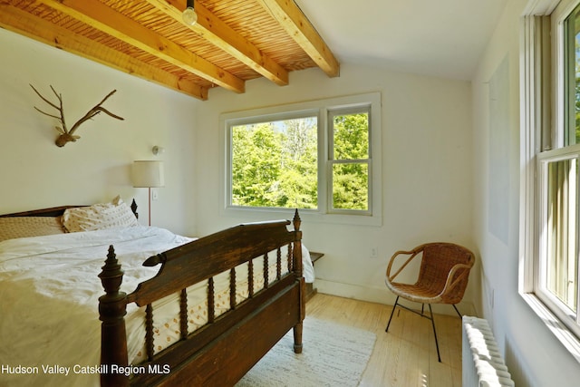 1130 Sawkill Rd, Kingston, NY 12401 - bedroom with radiator and wood-type flooring