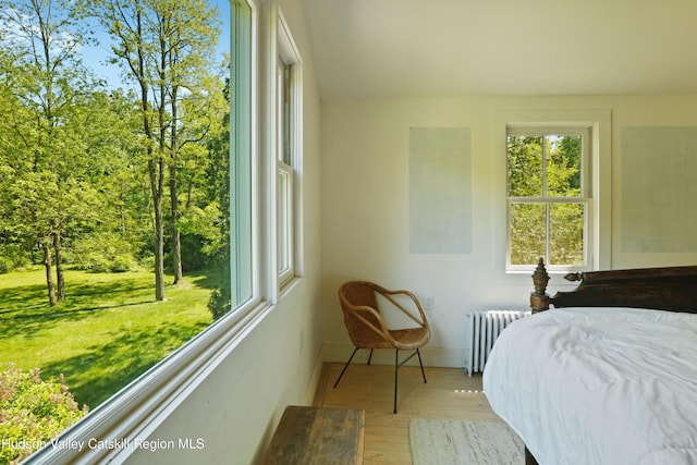1130 Sawkill Rd, Kingston, NY 12401 - bedroom with radiator, baseboards, wood finished floors, and multiple windows