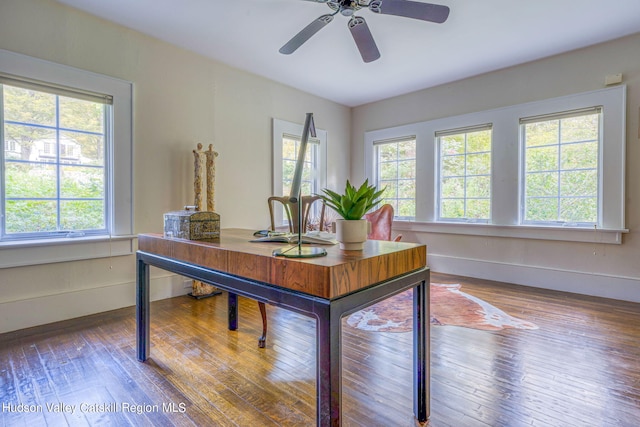 home office with hardwood / wood-style floors, a ceiling fan, and baseboards