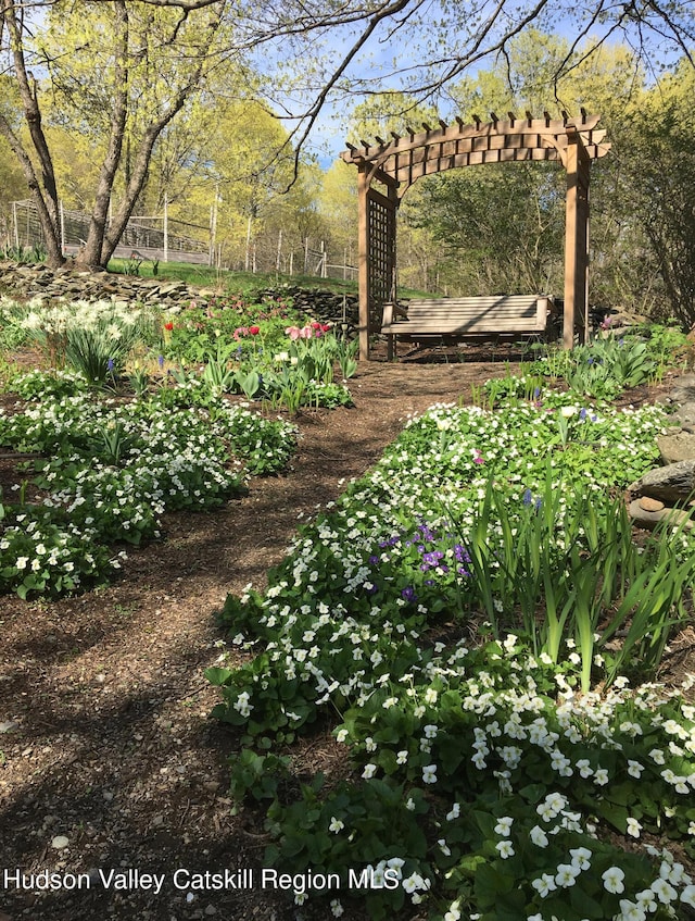 view of yard featuring a pergola