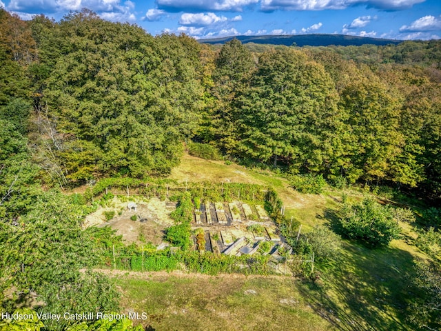 aerial view featuring a wooded view