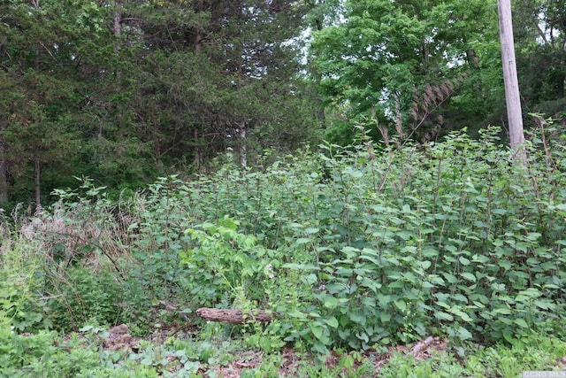 0 Rte 23, Cairo, NY 12058 - photo 2