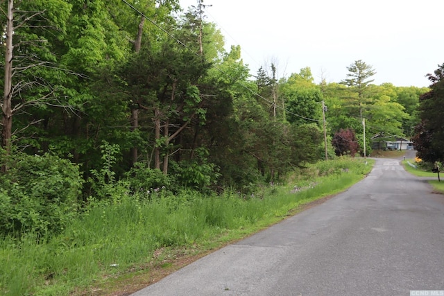 0 Rte 23, Cairo, NY 12058 - photo 1