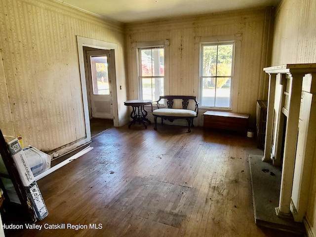 miscellaneous room featuring dark hardwood / wood-style floors