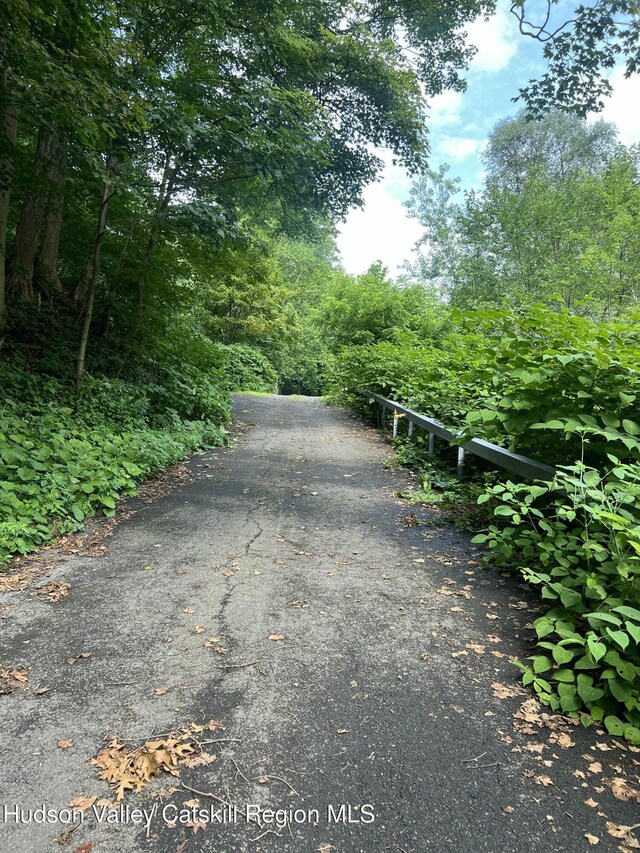 36 Rodney St, Kingston, NY 12401 - view of road