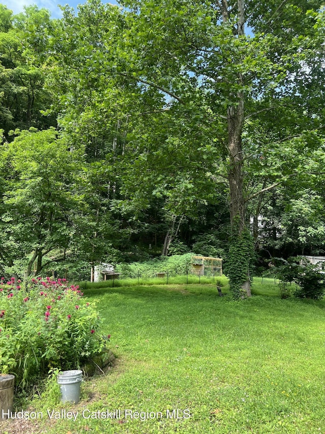36 Rodney St, Kingston, NY 12401 - view of grassy yard