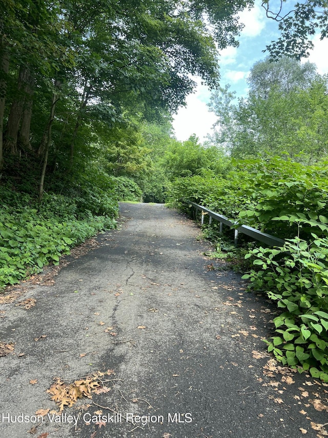 36 Rodney St, Kingston, NY 12401 - view of road