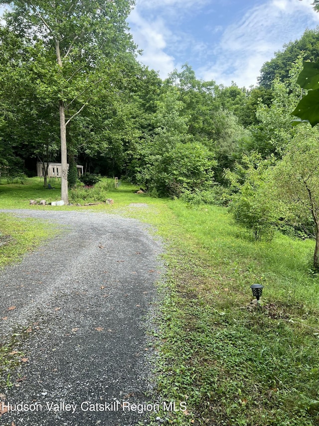 36 Rodney St, Kingston, NY 12401 - view of dirt / gravel road featuring a wooded view