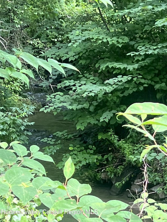 36 Rodney St, Kingston, NY 12401 - view of local wilderness