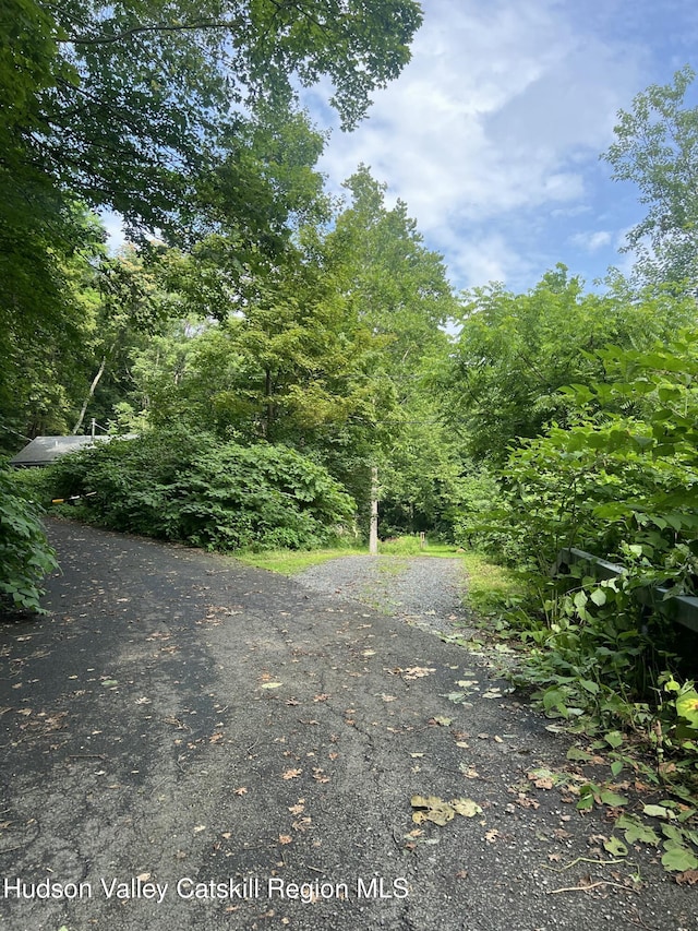 36 Rodney St, Kingston, NY 12401 - view of street