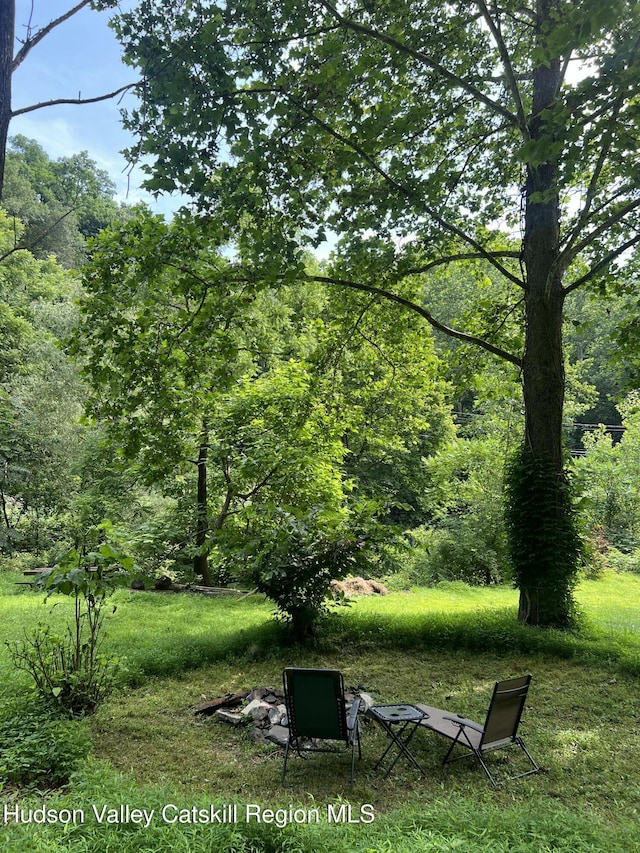 36 Rodney St, Kingston, NY 12401 - view of property's community featuring a view of trees