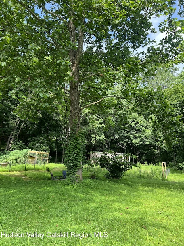 36 Rodney St, Kingston, NY 12401 - view of yard